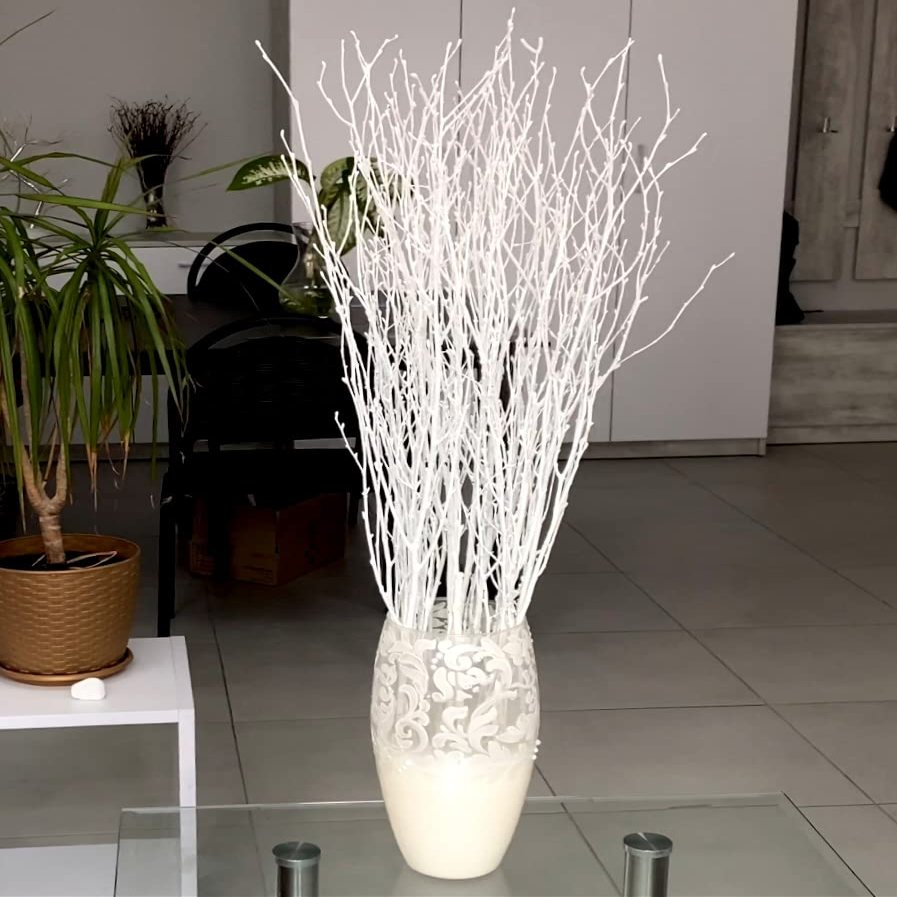 ECOVENIK 25 psc - Branches - 73 cm, Natural Birch Twigs, Pack of 20-25 Stems, Long for Floor vases, (White-Grey )