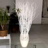 ECOVENIK 25 psc - Branches - 73 cm, Natural Birch Twigs, Pack of 20-25 Stems, Long for Floor vases, (White-Grey ) view 1