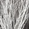 ECOVENIK 25 psc - Branches - 73 cm, Natural Birch Twigs, Pack of 20-25 Stems, Long for Floor vases, (White-Grey ) view 2