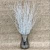ECOVENIK 25 psc - Branches - 73 cm, Natural Birch Twigs, Pack of 20-25 Stems, Long for Floor vases, (White-Grey ) view 3