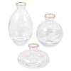 3pcs Vase Glass Terrariums for Plants Flower Bottles Cute Dry Small Plant Holder Plant Stand Wedding Decor Plant Supports Decorative Flower Holders Chemicals Light Luxury view 1