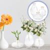 3pcs Vase Glass Terrariums for Plants Flower Bottles Cute Dry Small Plant Holder Plant Stand Wedding Decor Plant Supports Decorative Flower Holders Chemicals Light Luxury view 3
