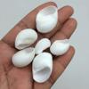 PEPPERLONELY White Natica Snail Sea Shells, 16 OZ Apprx.120+ PC Shells, 3/4 Inch ~ 1-1/4 Inch (#77794 White) view 1