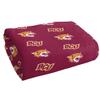 LOGOVISION Bethune-Cookman University Beach Towel/Bath Towel, 30"x60" Logo Pattern view 3