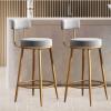 Natliedop Set of 2 Bar Stool, with Back and Footstool, for Kitchen Pub Counter Back Stool 330 LBS Bear Capacity (Seat Height 25.6in/29.5in) view 1