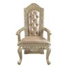 Acme Vatican Arm Chair (Set-2) in Synthetic Leather & Champagne Silver view 4