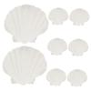 10pcs Large Scallop Shells for Serving Food Dish Large Seashells Scallop s Natural Sea Sea s Diy Painting s Plates Size Abalone Big Natural view 1