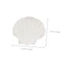 10pcs Large Scallop Shells for Serving Food Dish Large Seashells Scallop s Natural Sea Sea s Diy Painting s Plates Size Abalone Big Natural view 2