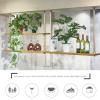 Nordic 1Layer/2-Layer Solid Wood Ceiling Mount Shelf Hanger with Gold Iron Pipe Bracket, Kitchen Restaurant Bar Ceiling Shelf Hanging Flower Rack Decoration Storage Rack view 4