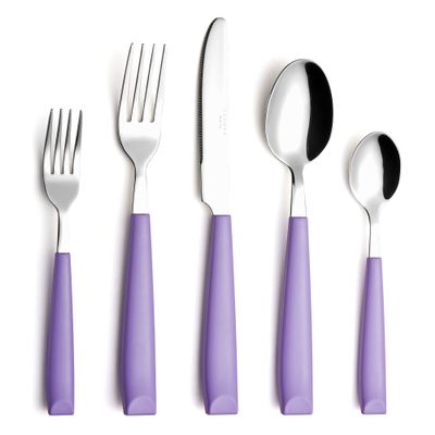 ANNOVA Silverware Set 20 Pieces Stainless Steel Cutlery Color Handle Flatware - 4 x Dinner Knife; 4 x Dinner Fork; 4 x Salad Fork; 4 x Dinner Spoon; 4 x Dessert Spoon (Lilac)