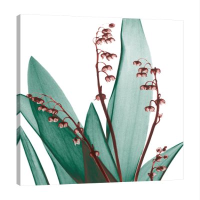 Jaxson Rea "Elegance Blush 1" Gallery Wrapped Canvas by Albert Koetsier, 24" x 32"