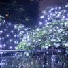 AWQ 200 LED 9.8ft x 6.6ft String Lights Net Mesh Lights Christmas Net Lights 8 Modes for Christmas Wedding Party Home Garden Lawn Bushes Bedroom Indoor Outdoor Decor (9.8ft x 6.6ft, White) view 3