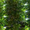 AWQ 360 LED 13.1ft x 6.6ft String Lights Net Mesh Lights Christmas Net Lights 8 Modes for Christmas Wedding Party Home Garden Lawn Bushes Bedroom Indoor Outdoor Decor (White) view 4