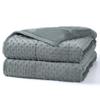 Alomidds Weighted Blanket (60"x80",15lbs Queen Size - Grey), Weighted Blankets for Adults and Kids, Cooling Breathable Soft and Comfort Minky, Heavy Blanket Microfiber Material with Glass Beads view 1