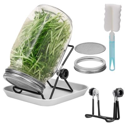 Lulonpon One Sprouting Jar Kit, Wide Mouth Quart Mason Jars with Stainless Steel Screen Sprout Lids, 86mm,1000ml,Stand,Tray and Canning Brush,Seed Sprouter Set for Growing Broccoli, Alfalfa, Mung Bean
