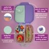b.box Mini Lunch Box Kids | 4.25 Cup Leak Proof Bento Box for Kids Ages 3+ | 3 Compartment Snack Containers, School Lunch Container, Dishwasher Safe, BPA-Free, PFAS-Free - Lilac Pop view 3