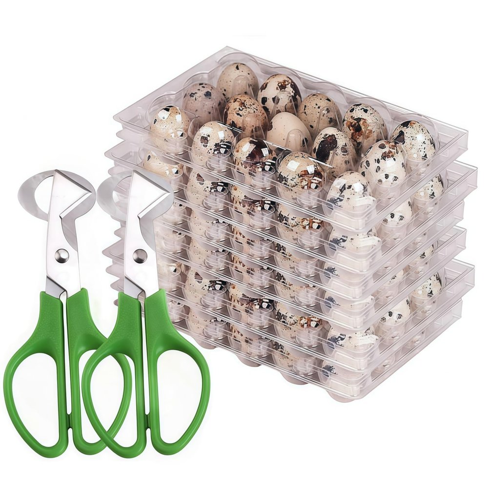 Quail Egg Cartons,15 Grids Small Egg Storage Holders,Quail Eggs Bulk Carton Trays & 2PCS Stainless Steel Cutter