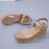ZBYY Women's Platform Clear Wedge Heels Sandals Open Toe Ankle Strap Buckle Slingback Summer Platform Sandal Shoes view 4