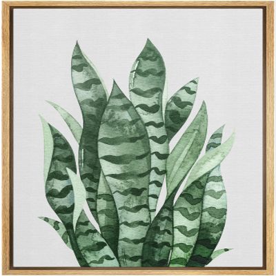 SIGNWIN Framed Canvas Print Wall Art Set Southwest Tropical Desert Striped Snake Plant Floral Botanical Photography Realism Nature Rustic Colorful for Living Room, Bedroom, Office - 16"x24" Natural