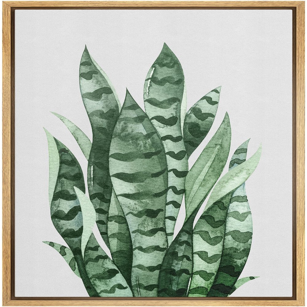 SIGNWIN Framed Canvas Print Wall Art Set Southwest Tropical Desert Striped Snake Plant Floral Botanical Photography Realism Nature Rustic Colorful for Living Room, Bedroom, Office - 16"x24" Natural