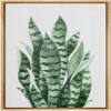 SIGNWIN Framed Canvas Print Wall Art Set Southwest Tropical Desert Striped Snake Plant Floral Botanical Photography Realism Nature Rustic Colorful for Living Room, Bedroom, Office - 16"x24" Natural view 1