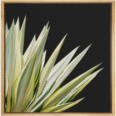 SIGNWIN Framed Canvas Print Wall Art Set Southwest Tropical Agave Americana Succulent Floral Botanical Photography Realism Nature Rustic Colorful for Living Room, Bedroom, Office - 16"x24" Natural
