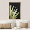 SIGNWIN Framed Canvas Print Wall Art Set Southwest Tropical Agave Americana Succulent Floral Botanical Photography Realism Nature Rustic Colorful for Living Room, Bedroom, Office - 16"x24" Natural view 3