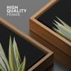SIGNWIN Framed Canvas Print Wall Art Set Southwest Tropical Agave Americana Succulent Floral Botanical Photography Realism Nature Rustic Colorful for Living Room, Bedroom, Office - 16"x24" Natural view 4