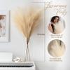 5 Stems of Extra Large Silk Faux Pampas Grass (43/110cm-Beige) view 2