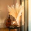 5 Stems of Extra Large Silk Faux Pampas Grass (43/110cm-Beige) view 3