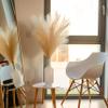 5 Stems of Extra Large Silk Faux Pampas Grass (43/110cm-Beige) view 4