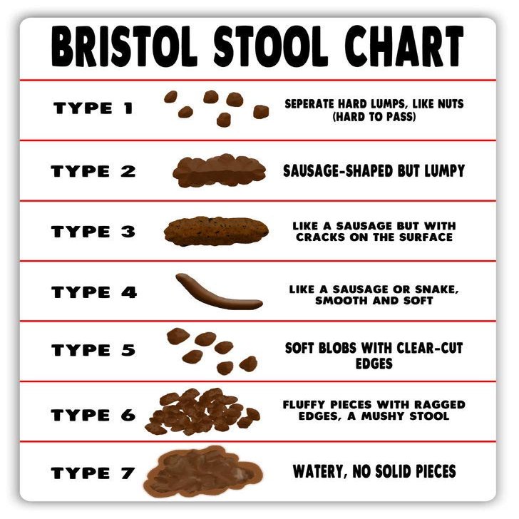 Retro Bristol Stool Chart Metal Tin Sign Poster Vintage Metal Plaque Wall Decor Gift For Bathroom Restaurant Farm Bedroom Cafe School 16x24 Inch