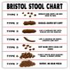 Retro Bristol Stool Chart Metal Tin Sign Poster Vintage Metal Plaque Wall Decor Gift For Bathroom Restaurant Farm Bedroom Cafe School 16x24 Inch view 1