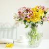 Clear Glass Vase,Tabletop Vases Plant Bud Vases Flower Vases Glass Containers for Bouquets, Home Flower Vases for Windowsill Decor(Size:21CM) view 3