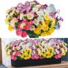 12 Bundles Artificial Fake Flowers for Outdoor Decoration,UV Resistant Faux Plastic Fabric Greenery Shrubs Plants Fake Flowers Hanging Planter Kitchen Home Wedding Office Garden view 1