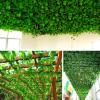 QIAOH Artificial Ivy Fake Vines 24 Pack, Greenery Leaves Ivy Garland Artificial Hanging Plants for Home Kitchen Garden Wedding Party Wall Room Decor view 4