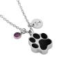 LiHiFG Black Color Dog/Cat Paw Cremation Urn Necklace for Pet Ashes Stainless Steel Funeral Keepsake Memorial Pendant view 1