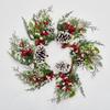 24" Artificial Snowy Pine Christmas Wreath with Berries, Pods and Pine Cones view 1