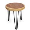 ANDALUCA Natural Wood Slab Round Accent End Table (Saman Wood) view 1