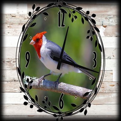 Red Headed Bird Canvas Wall ArtSpring Decorations for Wall Decor 12 x 16 Inch