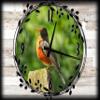 Bird on Fence Canvas Wall ArtSpring Decorations for Wall Decor 12 x 16 Inch view 1