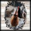 Chicken Farm Canvas Wall ArtSpring Decorations for Wall Decor 12 x 16 Inch view 1