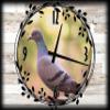 Pidgeon Canvas Wall ArtSpring Decorations for Wall Decor 12 x 16 Inch view 1