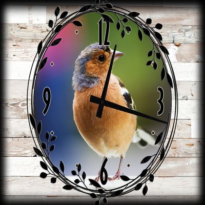 Colorful Rainbow Bird Canvas Wall ArtSpring Decorations for Wall Decor 12 x 16 Inch