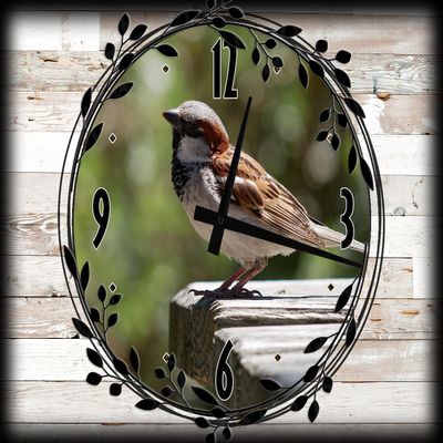 Brown and White Bird Canvas Wall ArtSpring Decorations for Wall Decor 12 x 16 Inch