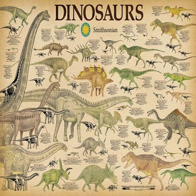 Studio B Dinosaurs - by Smithsonian - Laminated Poster - 36.5" x 24.5"
