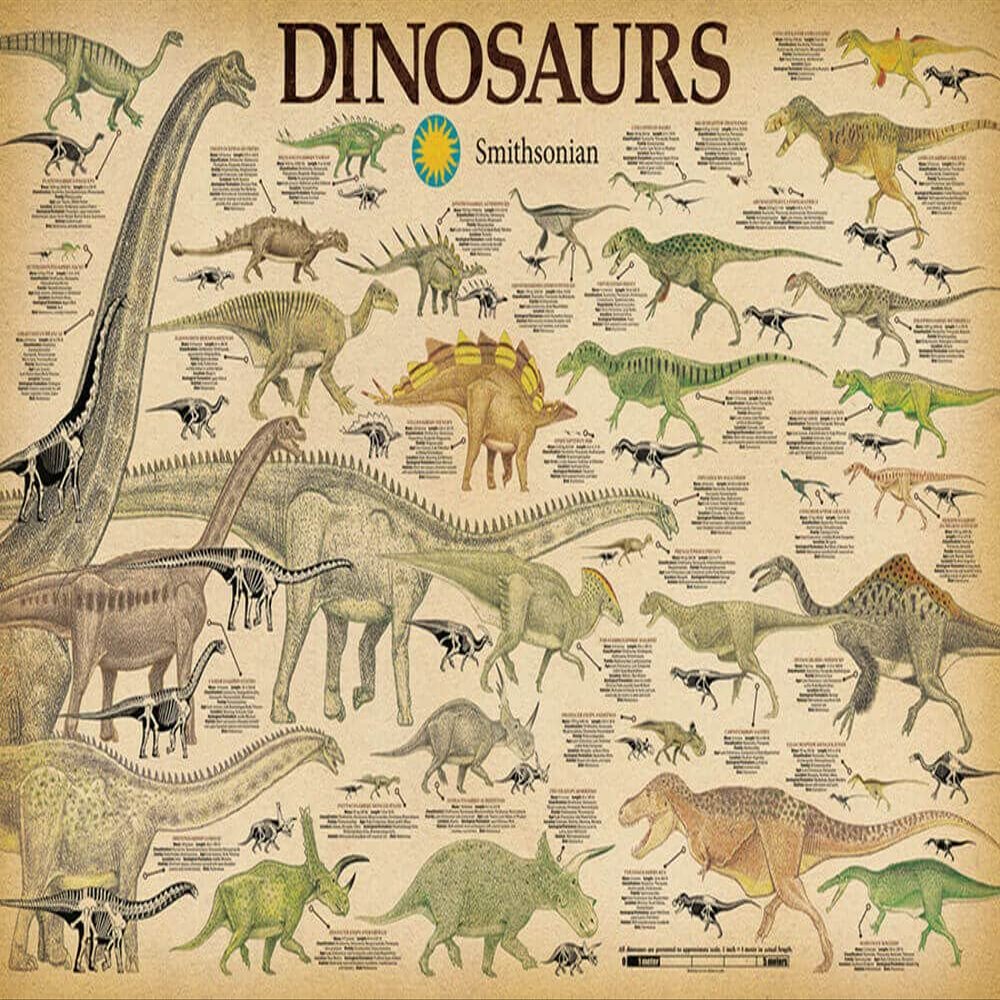 Studio B Dinosaurs - by Smithsonian - Laminated Poster - 36.5" x 24.5"