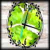 Jungle Green Bird Canvas Wall ArtSpring Decorations for Wall Decor 12 x 16 Inch view 1