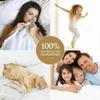 Pride Beddings 400 TC 100% Egyptian Cotton 11 Pc Bed-in-a-Bag Comforter Includes Matching Ruffle Bed Skirt/Ruffle Bed Spread, Duvet Cover, Sheet Set 24''-28'' Deep Pocket Sage Queen Size view 4