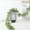 QIAOH Artificial Eucalyptus Garland 15 Pack, Eucalyptus Strand Hanging Fake Eucalyptus Leaves Garland Decoration Green Garland Faux Eucalyptus Garland for Wedding Party Dinner Table view 4